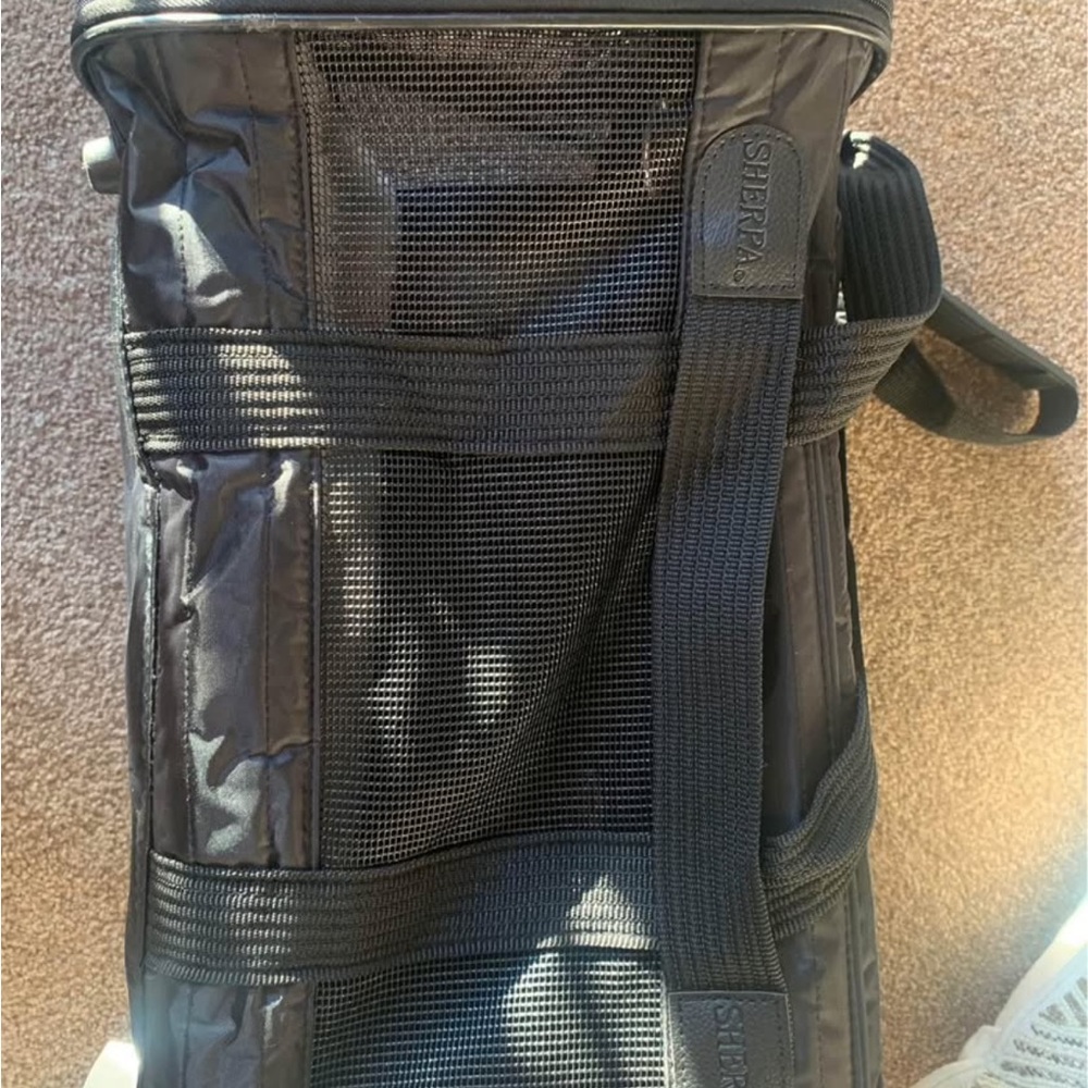 Black Dog/Cat Travel Carrier for Comfortable Journeys